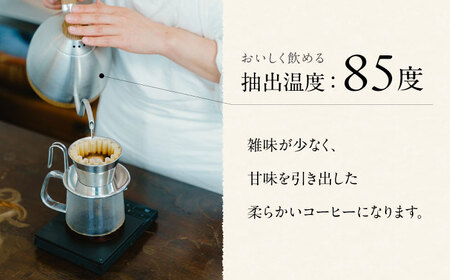 【3回定期便】スペシャルティコーヒー詰め合わせ　150g×2袋 【海と猫。】[OCK002]