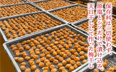 梅干し 福井県産しそ梅干し1.8kg｜保存料不使用 