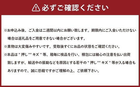 【5回定期便】岡山県産 フルーツ定期便コース （マスカットオブアレキサンドリア ・ 白桃 ・ ニューピオーネ ・ シャインマスカット 晴王 ・ あたご梨） 【2026年7月上旬発送開始】 ／ 5回 マスカット 葡萄 ぶどう 桃 もも 梨 なし 果物 果実 フルーツ 旬 定期便 岡山県 美咲町 冷蔵 常温