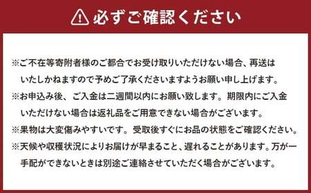 【3回定期便】岡山県産 フルーツ定期便コース （白桃 ・ シャインマスカット 晴王 ・ あたご梨）【2026年7月上旬発送開始】 ／ 3回 桃 もも マスカット 葡萄 ぶどう 梨 なし 果物 果実 フルーツ 旬 定期便 岡山県 美咲町 冷蔵 常温