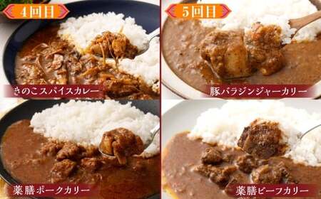 カラダ想いのスパイスカレー（2種4個×5回）毎月【5回定期便】 薬膳ビーフカリー 豚バラジンジャーカリー 薬膳ポークカリー きのこスパイスカレー スープカレーベース バターチキンカレー ベジタブルカレー 煮込み牛すじカレー きのポックルカレー 舞茸とホロホロチキンの薬膳カレー スパイスカレー カレー カレーライス 5回 定期便 2種 4個