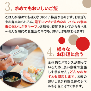 【最短1週間程度発送】 新潟県上越妙高産 新之助 10kg