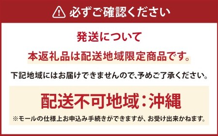 【2ヶ月毎2回定期便】 ファーファ 柔軟剤 ストーリーそらのおさんぽ 4500ml×1個 洗濯 日用品