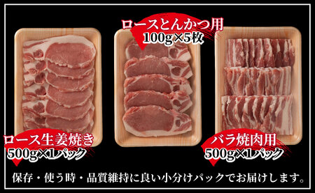 《定期便》長崎県産豚 バラエティ 5点セット 計2.5kg【12回お届け】