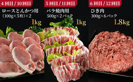 《定期便》長崎県産豚 食べ比べ 松コース【12回お届け】
