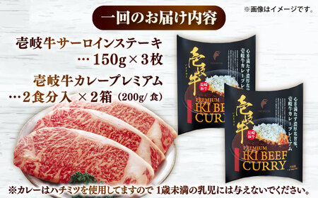 【全3回定期便】サーロインステーキ＆カレープレミアム 肉 和牛 [JDW125]