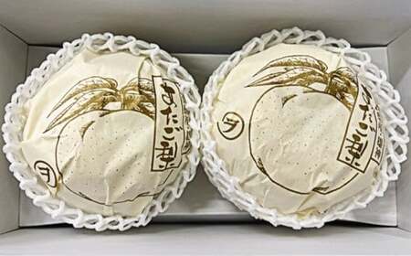 岡山県産 あたご梨 3～6玉 （約4kg） 化粧箱入り 【2026年11月下旬～12月下旬迄発送予定】 ／ なし 和梨 果物 果実 フルーツ 大玉 岡山県 美咲町 常温