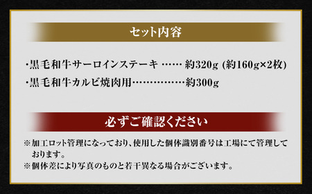 【鹿児島県産】 黒毛和牛 サーロインステーキ＆カルビ焼肉セット 合計約620g 肉 お肉 にく ニク 牛肉 サーロイン カルビ ステーキ 焼肉 詰め合わせ 冷凍 スターゼン 鹿児島県 薩摩川内市 BS-3121