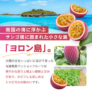 パッションフルーツ (1kg12個入り化粧箱) 2026年6月～出荷開始 | パッションフルーツ