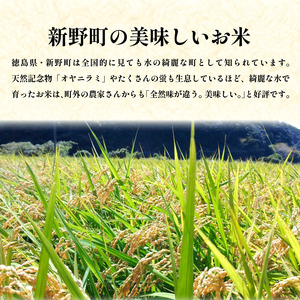 コシヒカリ 10kg 高嶺の雫米 コシヒカリ