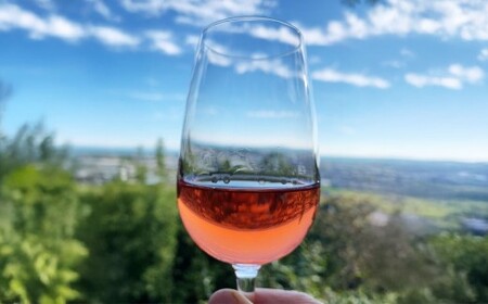 tosa cavatina 美良布マスカット・ベーリーAロゼ 2024（1本） 750ml × 1本 ワイン ロゼワイン マスカット・ベーリーA お酒 酒 さけ アルコール アルコール飲料 中辛口 冷蔵 高知県 香美市