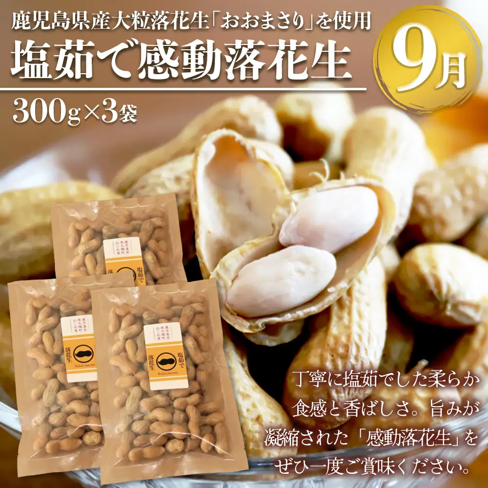 【定期便・年4回】農家の感動シリーズB (約16.4kg) FR-2｜冷凍焼き芋 ゴールドラッシュ とうもろこし 塩茹で 落花生 おおまさり ピーナッツ 芋 さつまいも 紅はるか 野菜定期便 旬 産地直送 サラダ 南大隅町