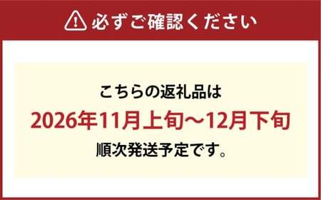 【倉敷市栽培】常緑樹のChristmasリース／フレッシュ／グリーン／Lサイズ【2026年11月上旬～12月下旬発送予定】
