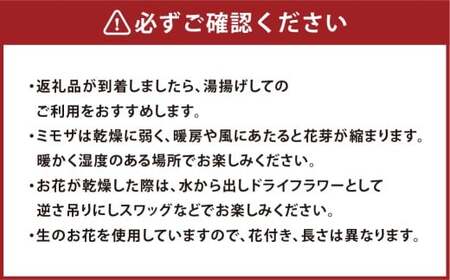 水替え不要！！清純派 ホワイトローズとグリーン ガラス花瓶付きアレンジ 光触媒加工付き【2026年1月上旬から発送開始】【ハンドメイド アーティフィシャルフラワー 造花 ローズ 花瓶 お花 花 岡山県 倉敷市 おすすめ 人気】
