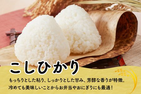 【3ヶ月定期便】令和7年度 殺虫剤・殺菌剤不使用｜こしひかり（5kg） 合計15kg 定期便 コシヒカリ 米 こしひかり 精米 ブランド米 お米 白米 5kg 国産 贈答 ギフト おにぎり 弁当 R7年産 ごはん おいしい 旨い ふっくら お米 茨城県 笠間市 いばらき BF-011
