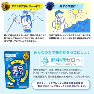 カバヤ 塩分 チャージ タブレッツ 6袋 スポーツ ドリンク 味 熱中症対策 塩分補給 タブレット 【ラムネ】【ho1643】