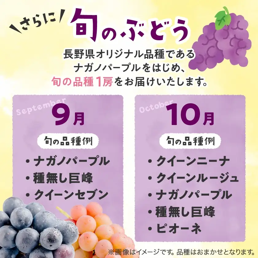【信州産ぶどう3房セット】 シャインマスカット2房・旬の品種1房(約500g×3房)【配送不可地域：離島】【1221645】