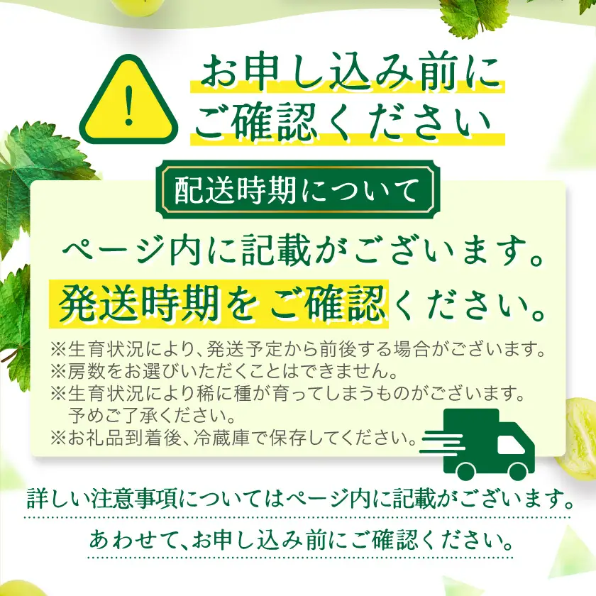 【2026年9～10月発送】JAながの　須高産　シャインマスカット　約1.2kg　2～3房入り【配送不可地域：離島・北海道・沖縄県】【1377390】