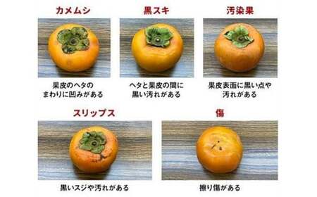 【先行予約】 《訳あり》 山之上産 富有柿 家庭用 3kg（10個～18個）| 果物 くだもの フルーツ 柿 かき 旬 【2026年11月発送予定】