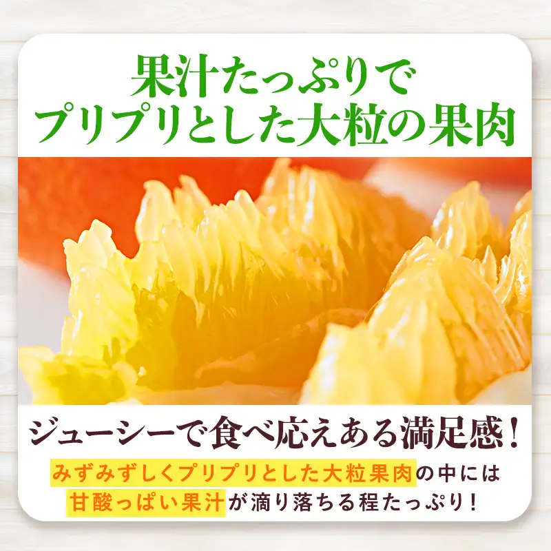 【先行予約】いよかんバラ詰め（5kg）