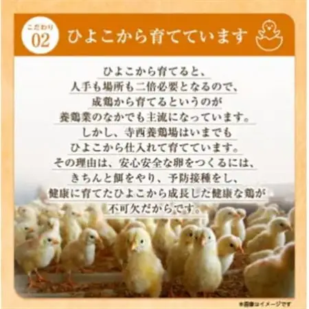 【2ヵ月毎定期便】大阪府富田林産　さしみ卵40個～50個(季節により個数・サイズが変動します)全6回【4080986】
