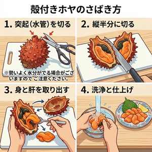 【先行予約】 ホヤ専門業者！ 殻付きホヤ 6個 ＼5月以降順次発送／