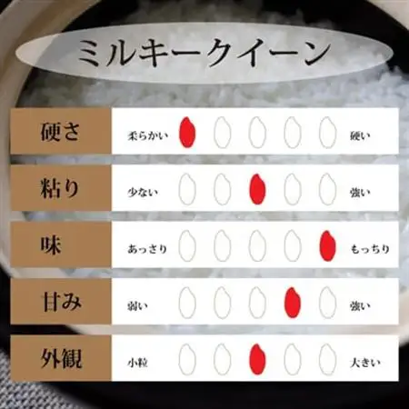 【老舗米屋厳選】野々市市産ミルキークイーンとだし・佃煮の味くらべごはんのお供セット【1689186】