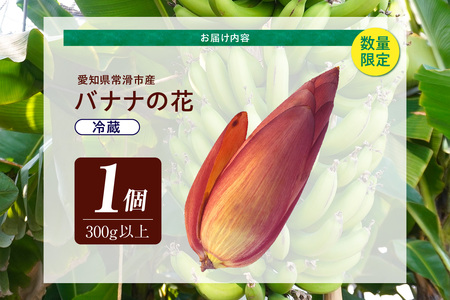 バナナの花　1個（300g以上） | バナナ ばなな 花 果物 フルーツ バナナハート 貴重 南国 産地直送 常滑市産 愛知県産 国内産 健康 就労支援 農業 アスナロファーム 愛知県 常滑市
