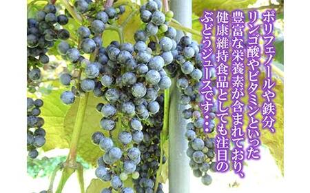 三陸山田産 山ぶどう ジュース 720ml×1本 フルーツジュース 葡萄 ぶどう 無添加 ビタミン ポリフェノール 鉄分 リンゴ酸 岩手県 三陸山田 山田町 YD-1040