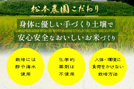 《新米》令和8年産 先行受付 佐賀県産 夢しずく 10kg(5kg×2袋）【身体に優しい手作り土壌の夢しずく】佐賀県 鹿島市 F-93