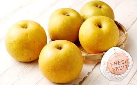 【2ヶ月定期便】 梨 3kg （計6kg） 2回定期便 なし ナシ 果物 果実 フルーツ 定期便 国産 九州 福岡県 嘉麻市 常温 【2026年9月下旬-10月下旬発送予定】