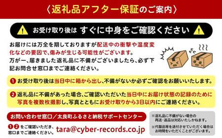 中尾農園の夢みるみかん 凍結みかん3Sサイズ5個入×3袋 【数量限定】 みかん ミカン 蜜柑 柑橘 小玉 凍結みかん フルーツ くだもの 果物 ビタミン豊富 国産 月の引力が見える町 さがみかん 太良みかん 夢みるみかん おいしい 減農薬 濃厚 ギフト 贈答品 贈り物 冷凍 佐賀県 太良町 M110x1