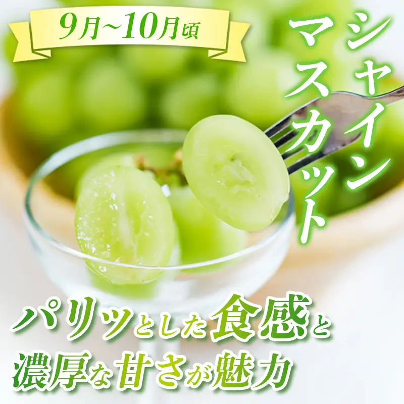 【定期便3回】☆んま～い山形☆山形フルーツ売れ筋3種定期便(さくらんぼ佐藤錦／白桃／シャインマスカット) FY25-474