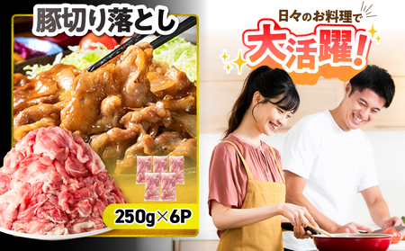 鹿児島県産 豚 鶏 バラエティ 5.15kg KN165-002 肉 豚肉 鶏肉 冷凍