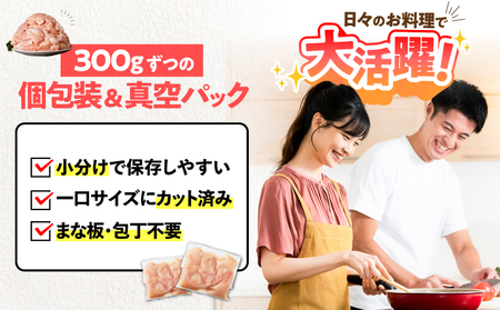 鹿児島県産 若鶏 ムネ 切身 9.6kg セット KN165-004-02 肉 鶏肉 冷凍
