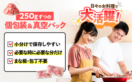 鹿児島県産 豚肉 切落し 3kg セット KN165-008-01 肉 冷凍