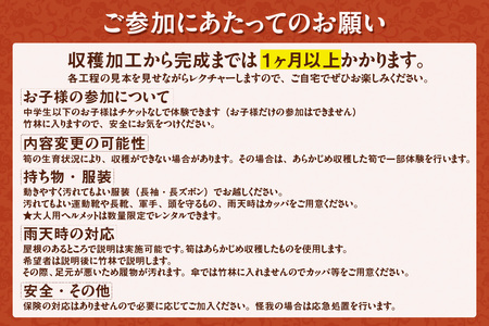 【中華利興】メンマ作り教室 体験チケット 1名分 メンマ 筍 タケノコ メンマ作り 竹 収穫 体験 教室 親子体験 愛知県 知多市