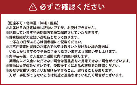 【5回定期便】 岡山県産 フルーツ定期便コース【2026年7月上旬発送開始】定期便 フルーツ 果物 くだもの 葡萄 ぶどう ブドウ 梨 なし ナシ 桃 もも モモ マスカット 贈答品 ギフト