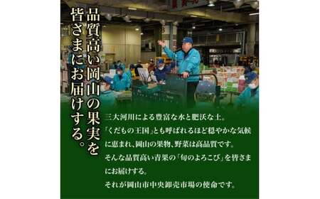 マスカット・オブ・アレキサンドリア 1房 （700g以上・秀品以上） 化粧箱入り 【2026年7月上旬～8月上旬迄発送予定】 マスカット 果物 くだもの フルーツ ぶどう ブドウ 葡萄 岡山 おかやま 国産