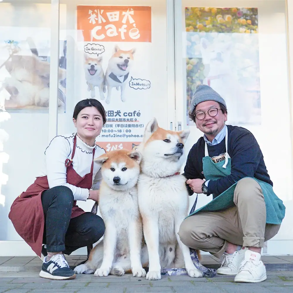 もふもふ秋田犬ふれあい体験30分 大人（中学生以上）　1名様（ふれあい10分・1ドリンク付）　【35P8401】
