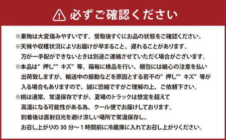 詰合 白桃 2玉 （1玉220g以上） シャインマスカット晴王 2房 （1房480g以上） 化粧箱入り 【2026年7月下旬～8月上旬迄発送予定】 果物 くだもの フルーツ 桃 もも モモ ぶどう ブドウ 葡萄 マスカット 詰合せ 詰め合わせ 岡山 おかやま 国産 冷蔵
