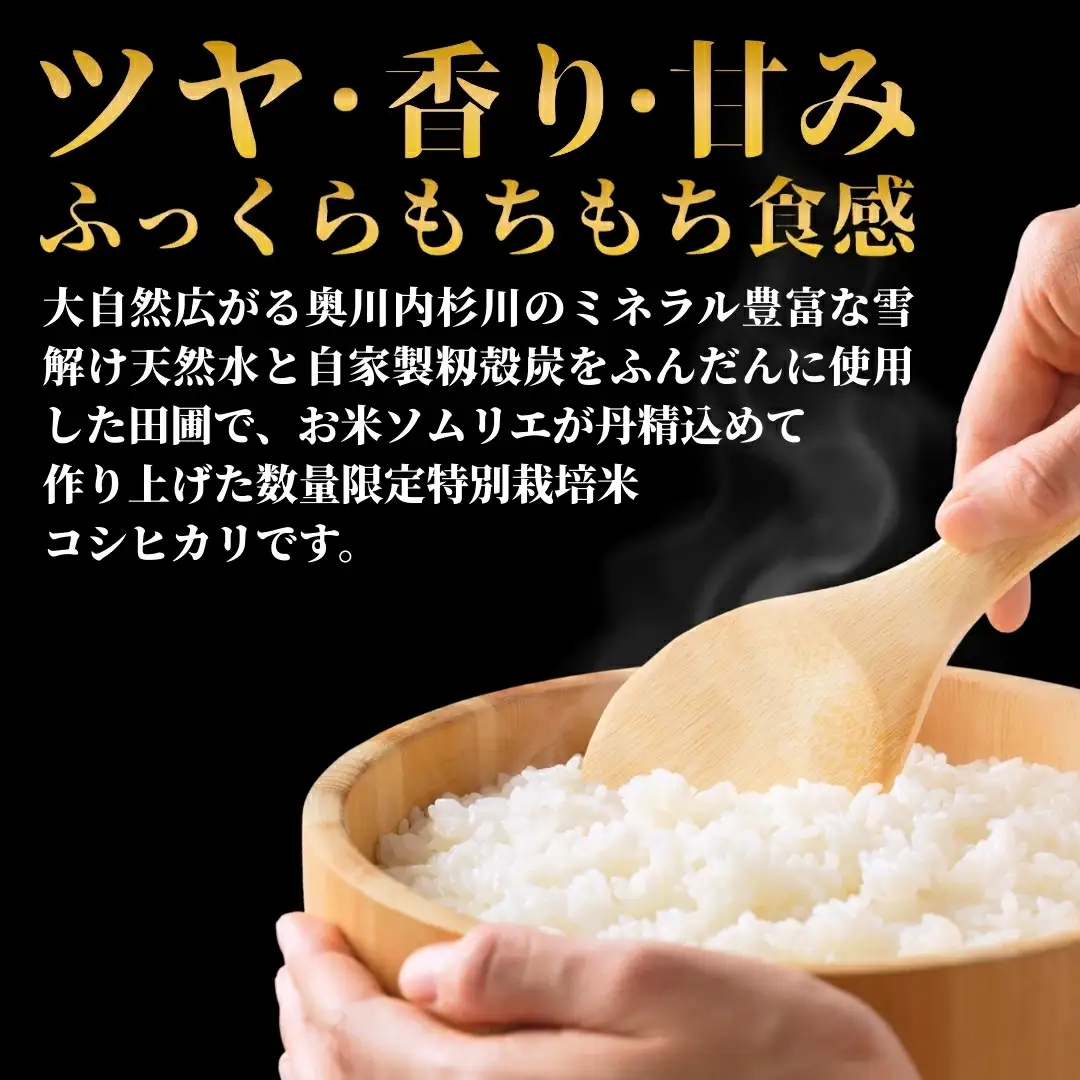【先行予約】令和8年産 3ヶ月定期便 五泉市産 特別栽培米 コシヒカリ 5kg(5kg×1袋)