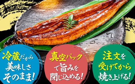 うなぎ 蒲焼き 1尾 うなぎ [AGAH029]