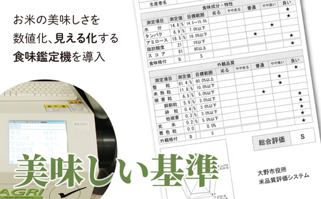 【令和7年産】こしひかり（福井県大野市産）エコファーマー米（白米）20kg（5kg×4袋）[F-003005]