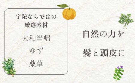 【定期便6回】大和当帰美人 髪だより EXTEシャンプー 詰め替え用 1000ml ／ふるさと納税 エクステ 大和当帰  ボトル メンズ 大容量 いい香り髪の美容液 髪整う 自然の力 頭皮 奈良県 宇陀市