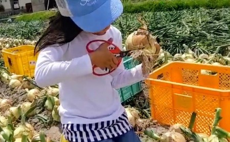 【新玉予約！】中山さんちから直送 淡路島たまねぎ５㎏　◆R8.3月下旬～発送