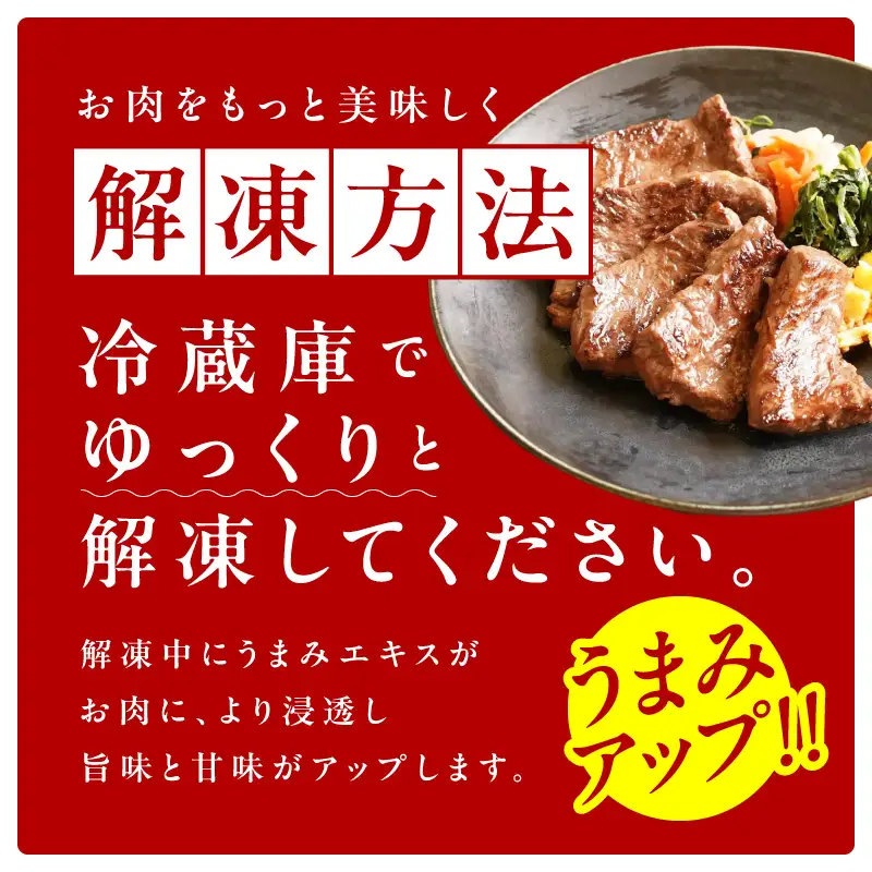 【お試し】牛肉 ハラミ 500g（250g×2P）