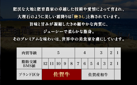 佐賀牛ヒレ540g(180g×3枚) ヒレサイコロステーキ400g 計940g
