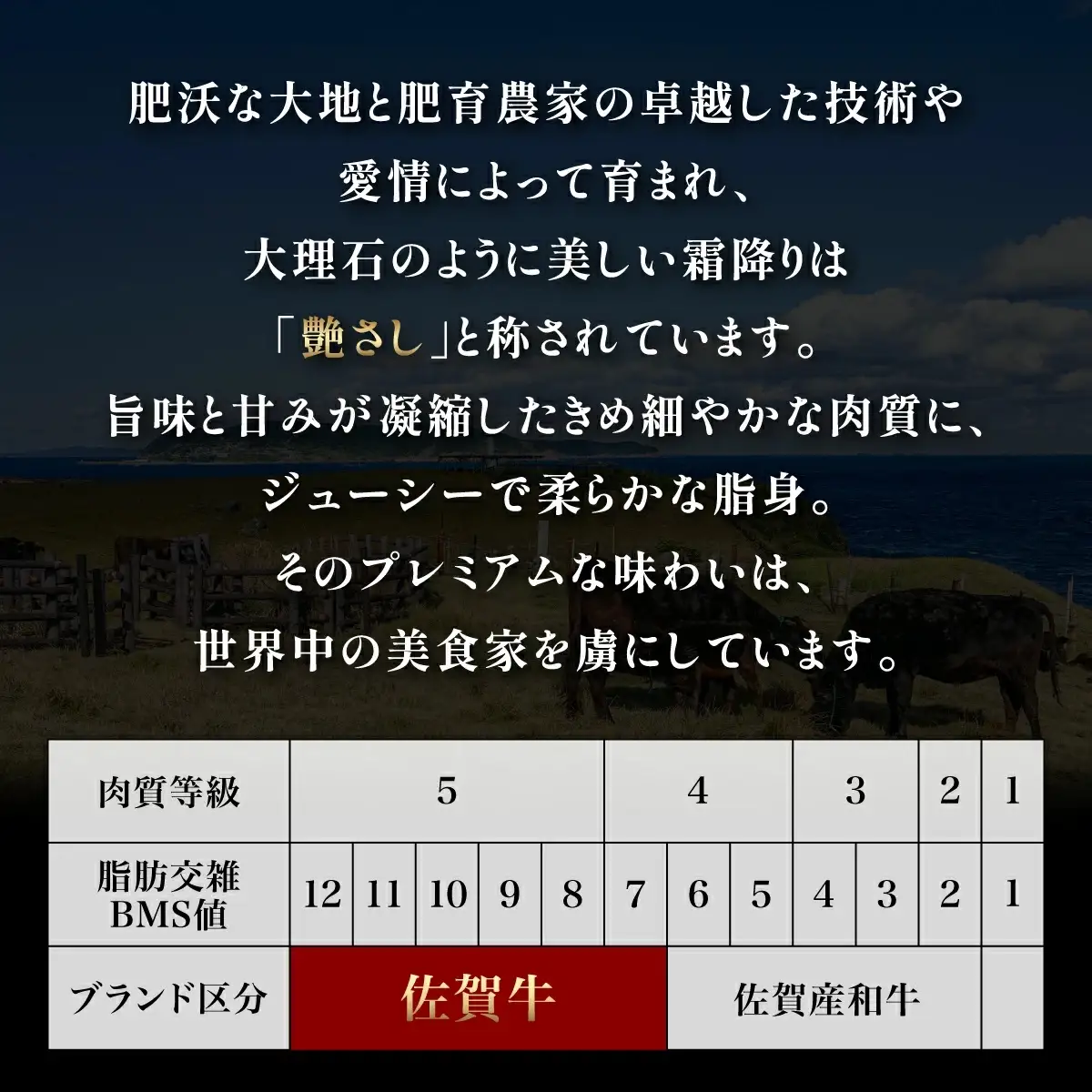 佐賀牛ヒレステーキ6枚(180g×6枚) 計1080g