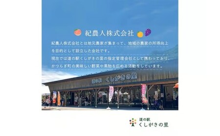 先行受付!　柿　種無し　赤秀品　大玉　5～6個　約2kg